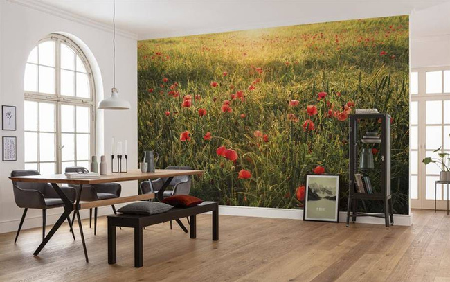 Fototapeta ścienna Poppy World I SHX9-071