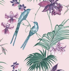 Różowa tapeta winylowa tropikalna liście kolibry