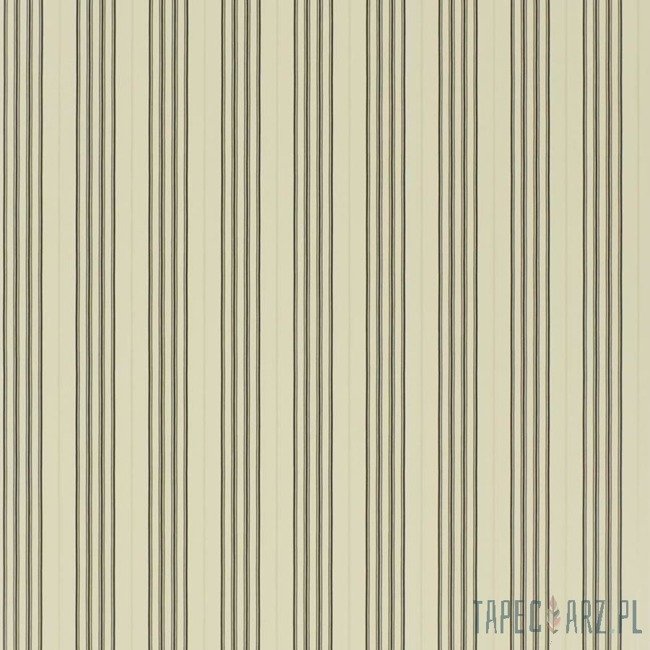 Tapeta ścienna Ralph Lauren PRL050/02 Signature Stripe